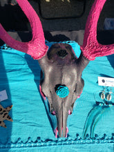 Load image into Gallery viewer, Exotic Axis Painted Deer Skull - Home Decor