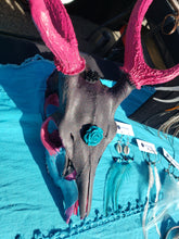 Load image into Gallery viewer, Exotic Axis Painted Deer Skull - Home Decor