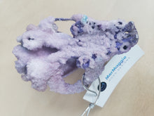 Load image into Gallery viewer, Amethyst Crystal Raccoon Small Skull