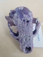 Load image into Gallery viewer, Amethyst Crystal Raccoon Small Skull