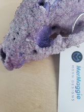 Load image into Gallery viewer, Amethyst Crystal Raccoon Small Skull