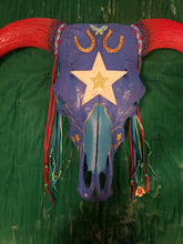Load image into Gallery viewer, Authentic Texas Rodeo Steer Skull - Home Decor