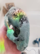 Load image into Gallery viewer, Baby Blue Crystal Raccoon Small Skull