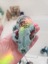 Load image into Gallery viewer, Baby Blue Crystal Raccoon Small Skull