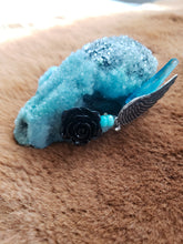 Load image into Gallery viewer, Baby Blue Crystal Raccoon Small Skull