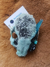 Load image into Gallery viewer, Baby Blue Crystal Raccoon Small Skull