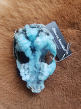 Load image into Gallery viewer, Baby Blue Crystal Raccoon Small Skull