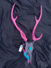 Load image into Gallery viewer, Exotic Axis Painted Deer Skull - Home Decor