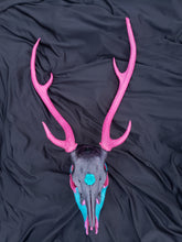 Load image into Gallery viewer, Exotic Axis Painted Deer Skull - Home Decor