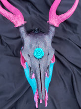 Load image into Gallery viewer, Exotic Axis Painted Deer Skull - Home Decor
