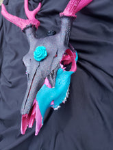 Load image into Gallery viewer, Exotic Axis Painted Deer Skull - Home Decor