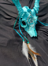 Load image into Gallery viewer, Baby Blue Amazonite Crystal Mule Deer Skull - Home Decor