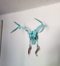 Load image into Gallery viewer, Baby Blue Amazonite Crystal Mule Deer Skull - Home Decor