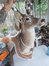 Load image into Gallery viewer, Rescued & Upcycled, Glamorous Tribal Deer Mount - Home Decor