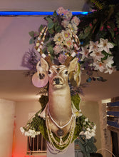 Load image into Gallery viewer, Rescued & Upcycled, Glamorous Tribal Deer Mount - Home Decor