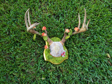 Load image into Gallery viewer, Vintage Fairycore Deer Antler Mount with Moss & Mushrooms - Home Decor