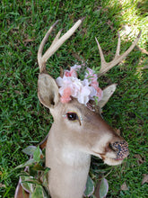 Load image into Gallery viewer, Rescued & Upcycled, Glam & Glitz Floral Deer Mount - Home Decor