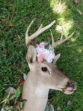 Load image into Gallery viewer, Rescued & Upcycled, Glam & Glitz Floral Deer Mount - Home Decor
