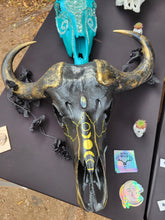 Load image into Gallery viewer, Rare African Cape Buffalo Moon Phase Skull - Home Decor