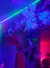 Load image into Gallery viewer, Rescued & Upcycled, Glamorous Tribal Deer Mount - Home Decor