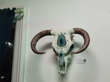Load image into Gallery viewer, Rose Gold &amp; Turquoise Rare Droop Horn Steer Skull - Home Decor
