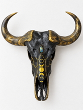 Load image into Gallery viewer, Rare African Cape Buffalo Moon Phase Skull - Home Decor
