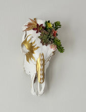 Load image into Gallery viewer, Gold Succulent Cow Skull - Home Decor
