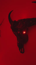 Load and play video in Gallery viewer, Rare African Cape Buffalo Moon Phase Skull - Home Decor
