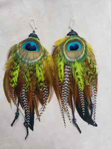 Lime Green & Natural Peacock Feather Boho Earrings