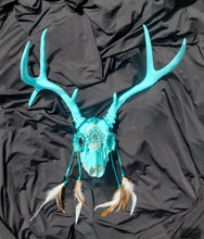 Load image into Gallery viewer, Baby Blue Amazonite Crystal Mule Deer Skull - Home Decor
