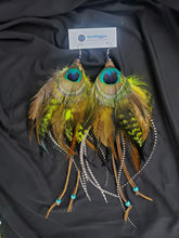 Load image into Gallery viewer, Black, Brown, Rooster, Lime Green, &amp; Peacock Feather Boho Earrings
