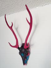 Load image into Gallery viewer, Exotic Axis Painted Deer Skull - Home Decor
