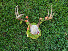 Load image into Gallery viewer, Vintage Fairycore Deer Antler Mount with Moss &amp; Mushrooms - Home Decor
