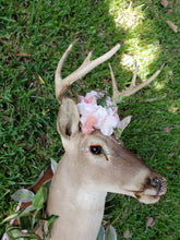 Load image into Gallery viewer, Rescued &amp; Upcycled, Glam &amp; Glitz Floral Deer Mount - Home Decor
