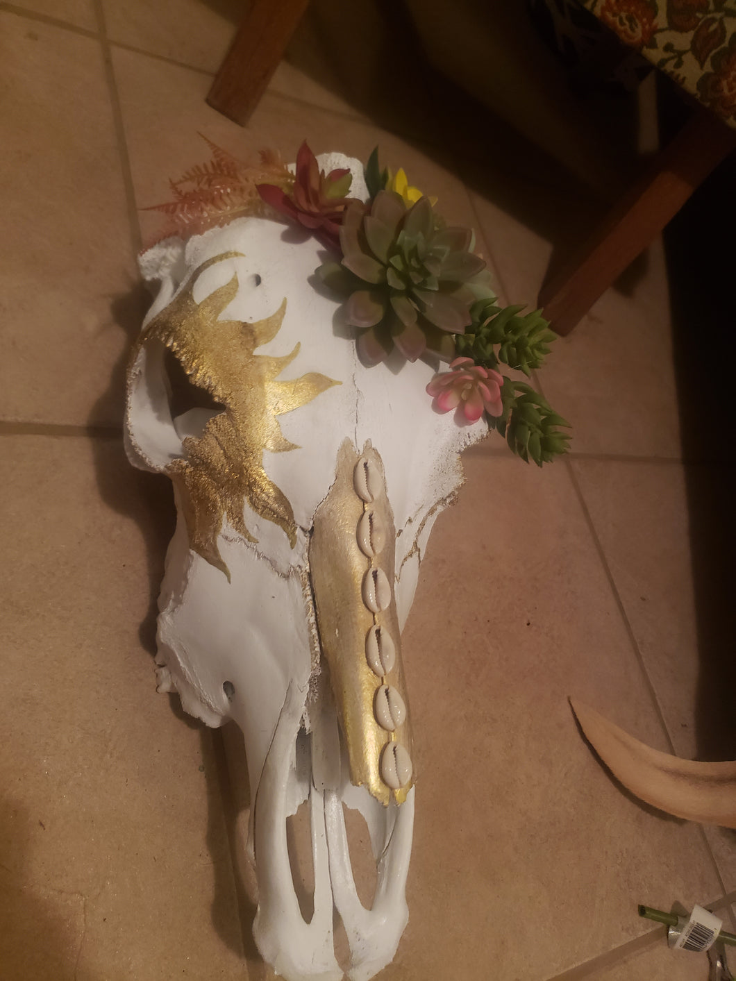 Gold Succulent Cow Skull - Home Decor