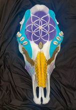 Load image into Gallery viewer, Flower of Life Mermaid Honey Comb Cow Skull - Home Decor
